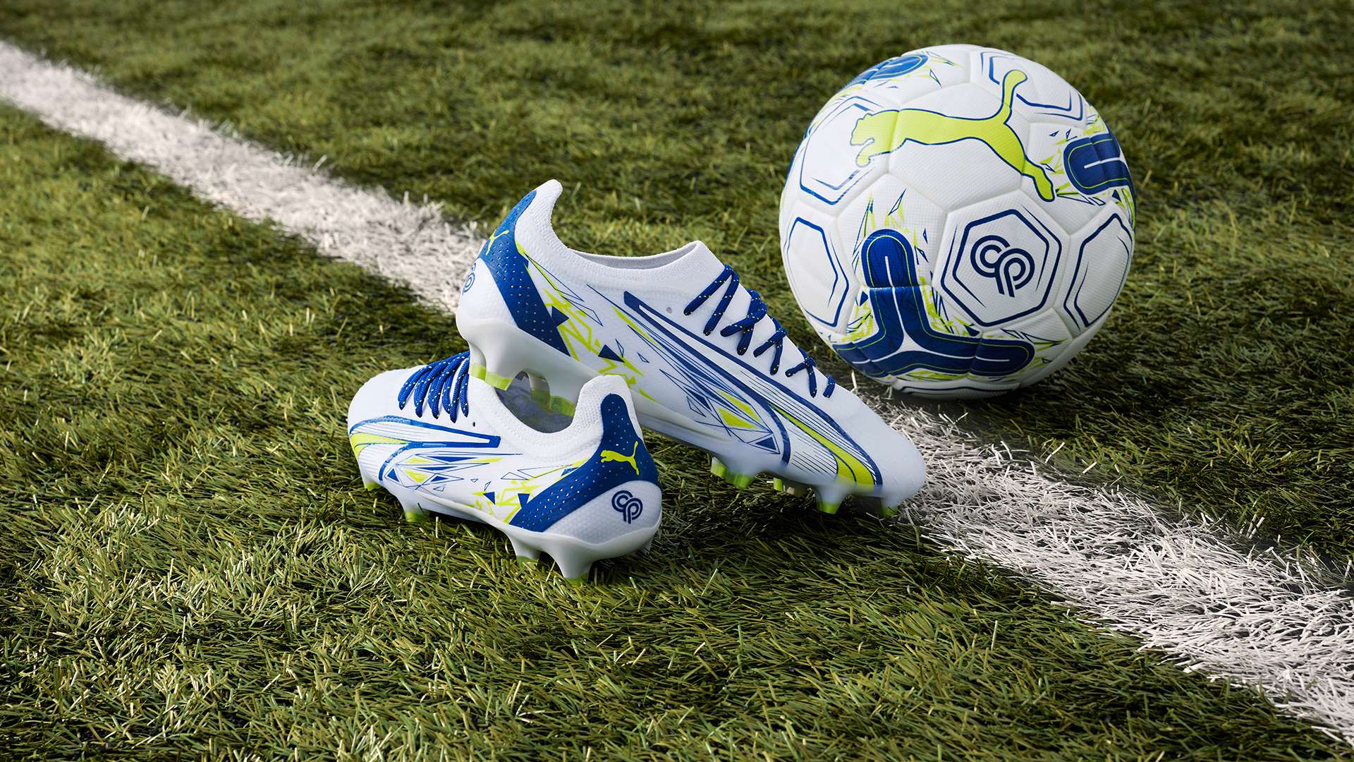 迷和媒体的 迷和媒体的