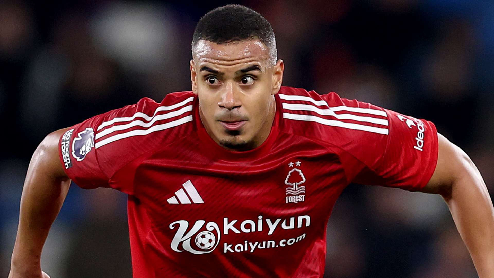 只有在训练 只有在训练